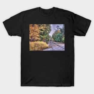 Abandoned Autumn Track T-Shirt